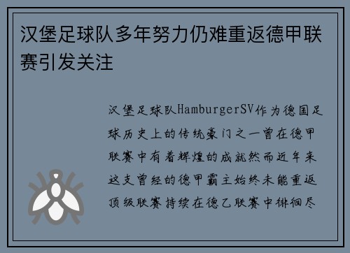 汉堡足球队多年努力仍难重返德甲联赛引发关注 汉堡足球队多年努力仍难重返德甲联赛引发关注